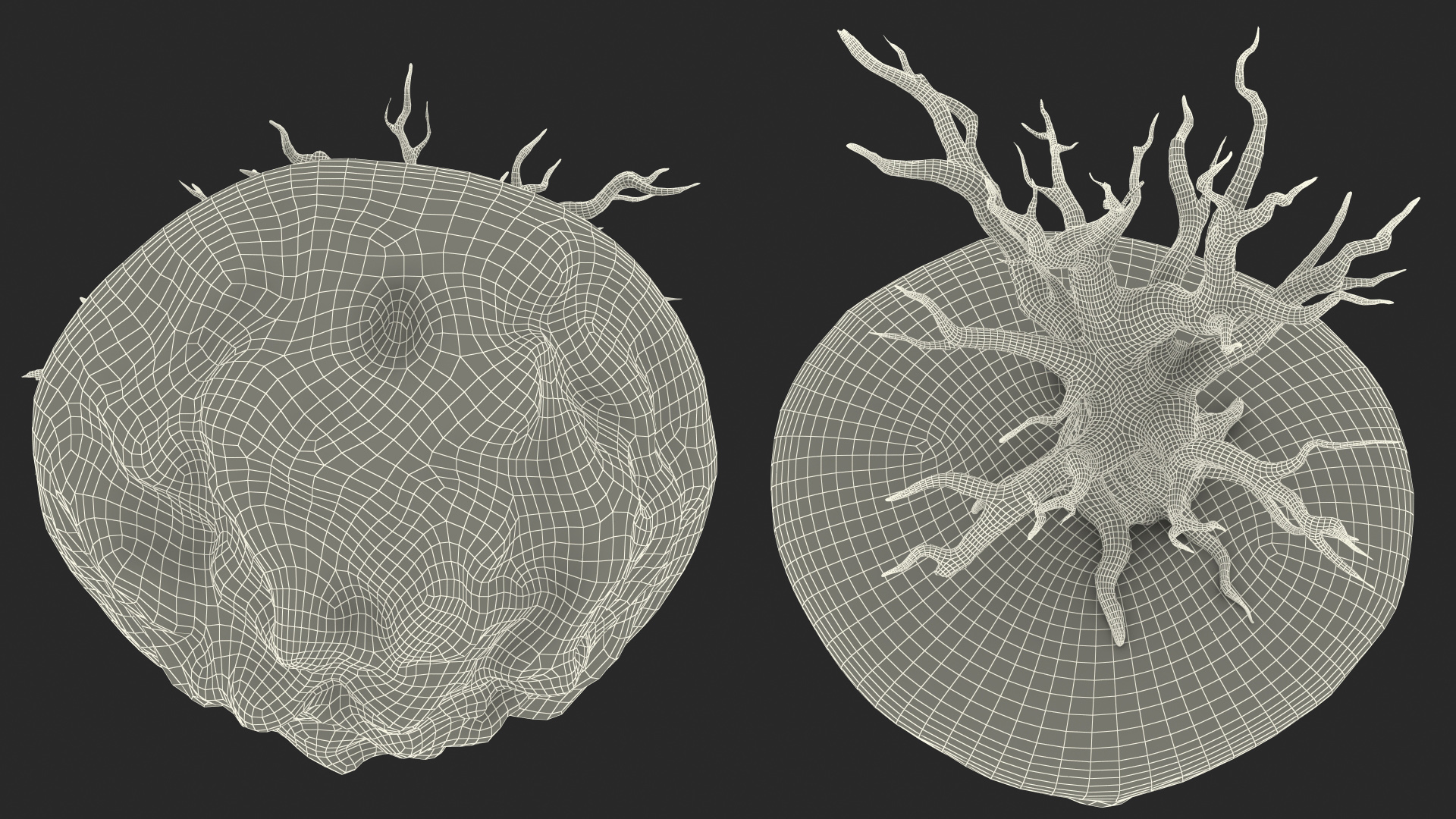 Round Soil Ground Island with Dead Tree 3D model