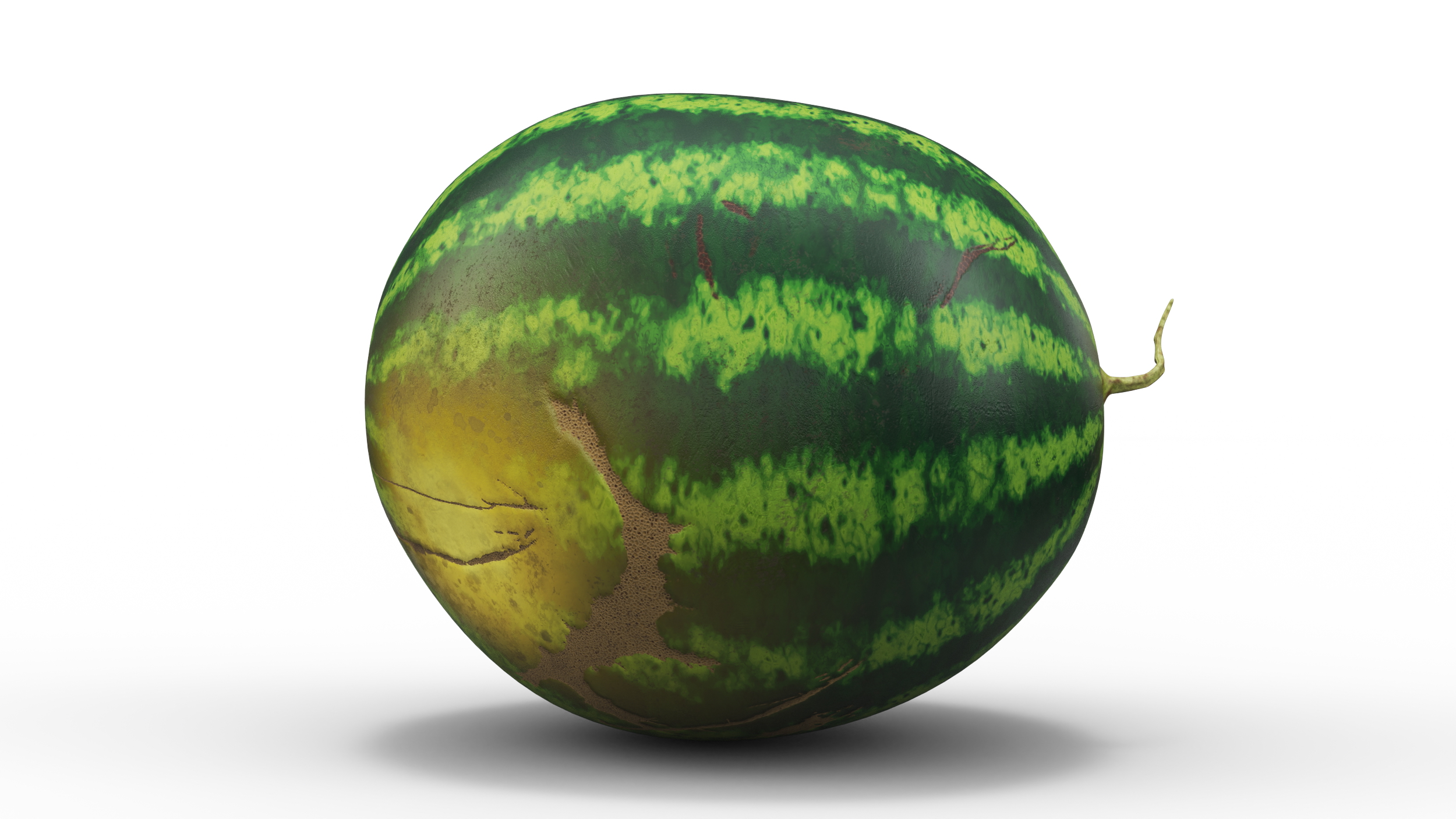3D model Round Stripped Watermelon
