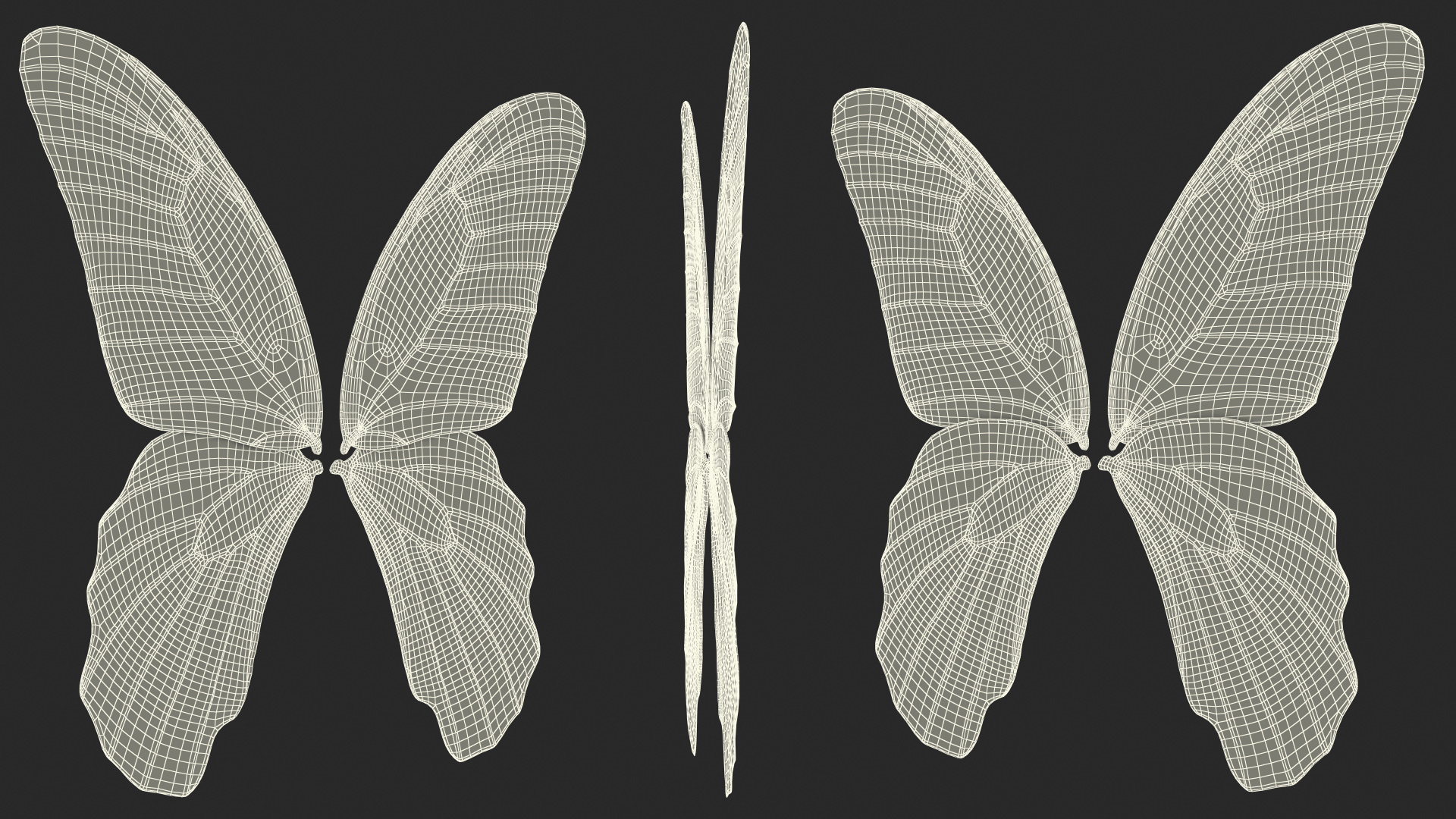3D model Butterfly Wings