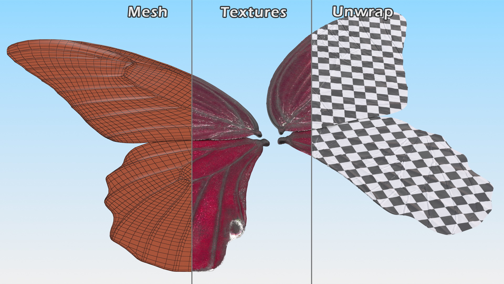 3D model Butterfly Wings