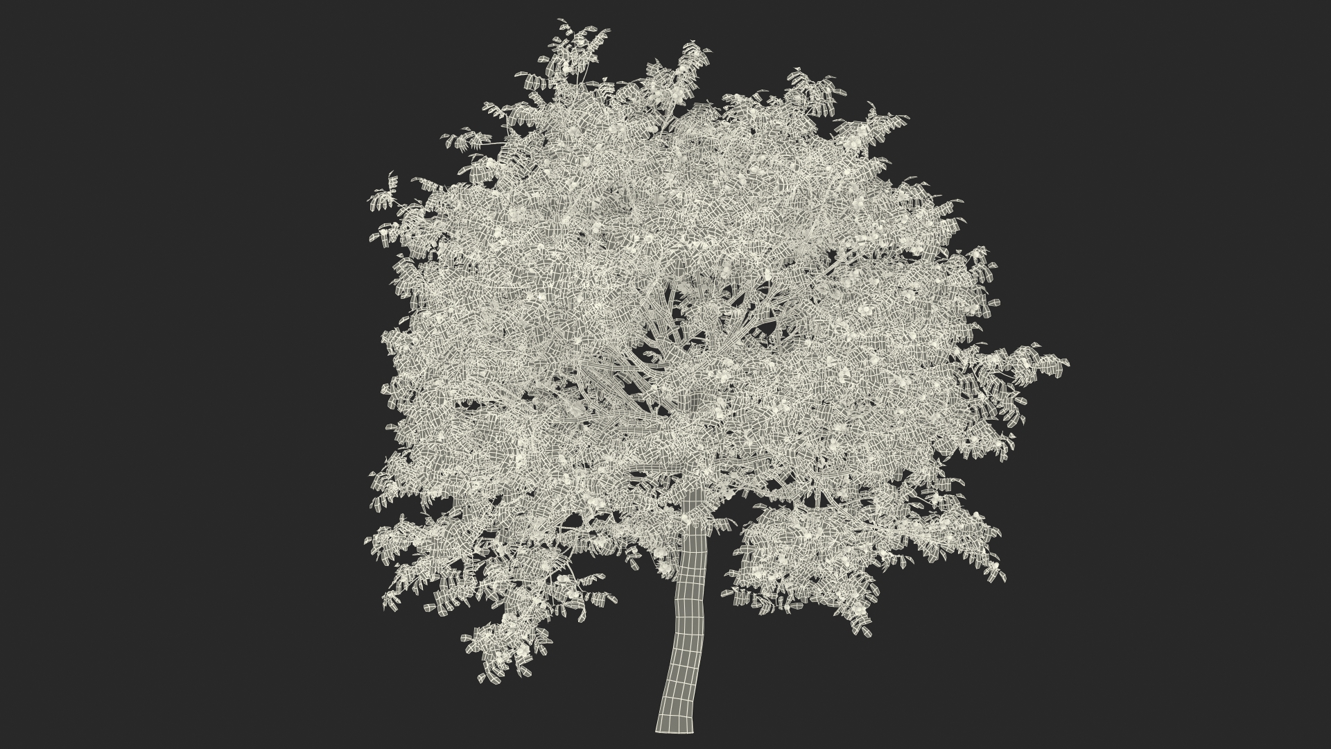 3D Walnut Tree with Ripe Nuts