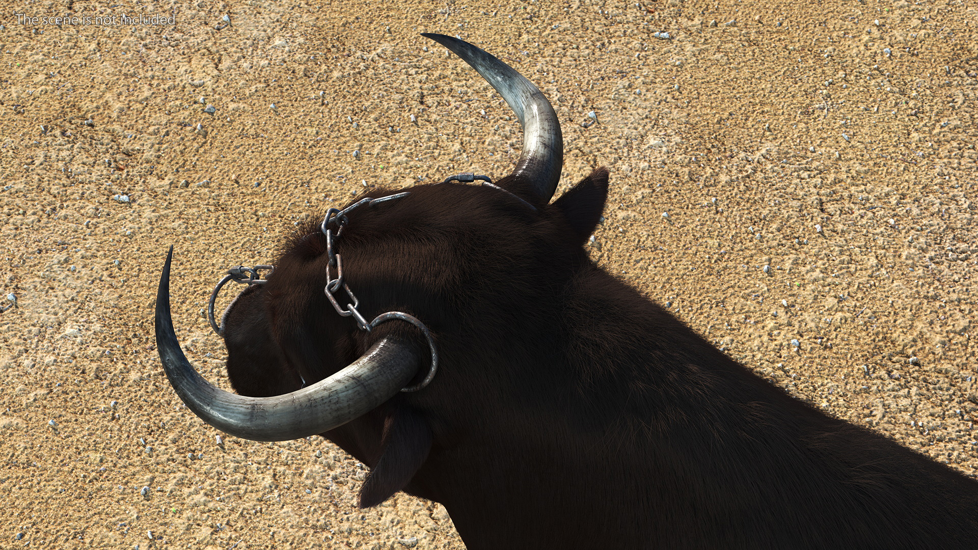 3D Chain for a Bull