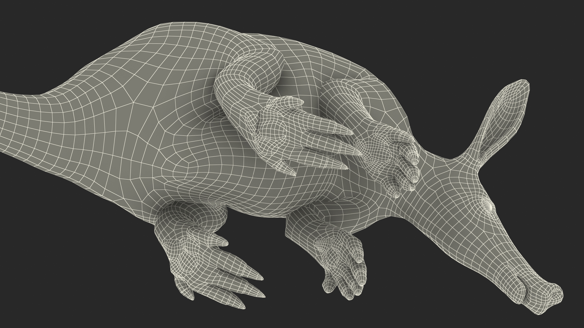 Night Mammal Aardvark Sitting Pose 3D model