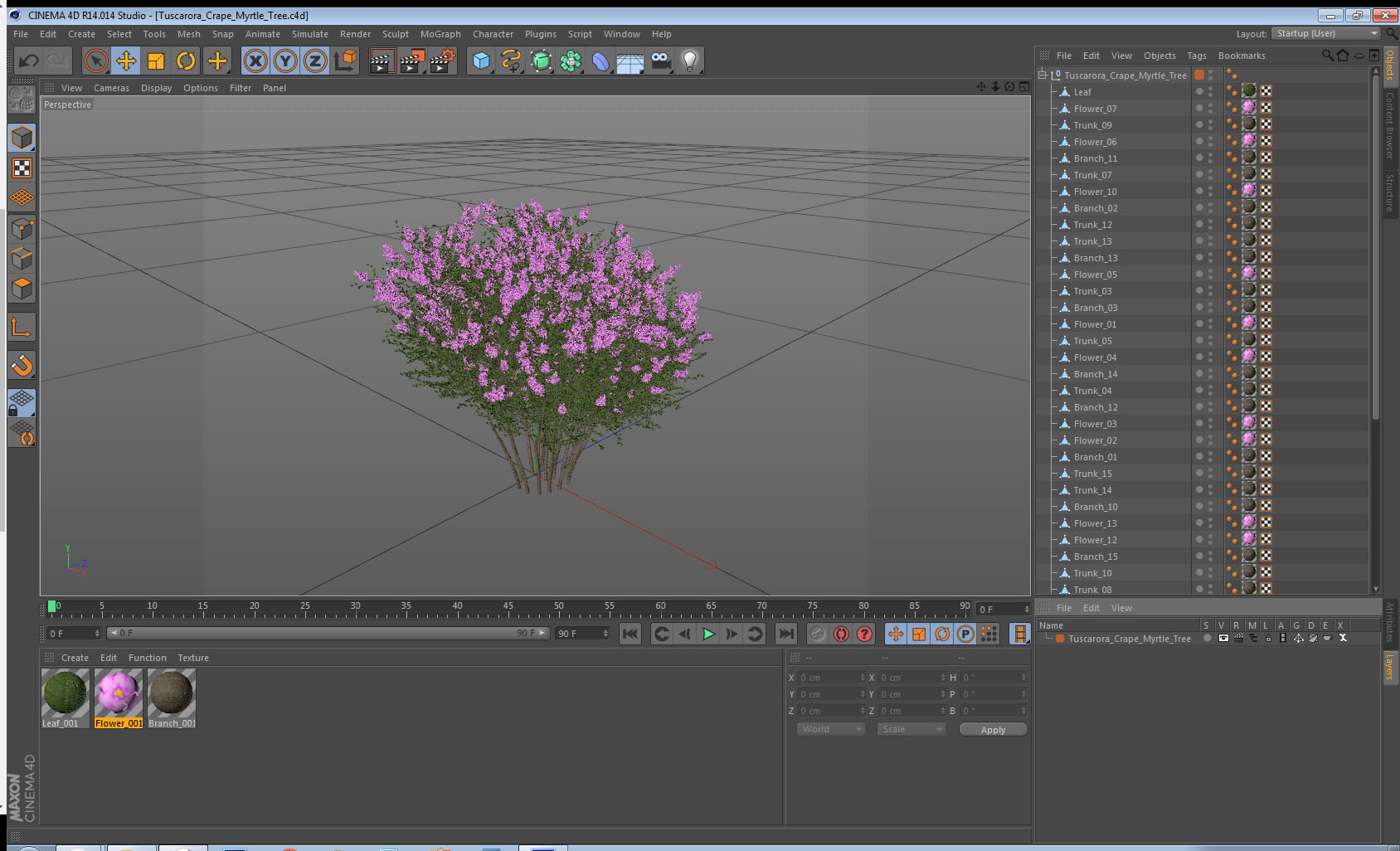 Tuscarora Crape Myrtle Tree 3D