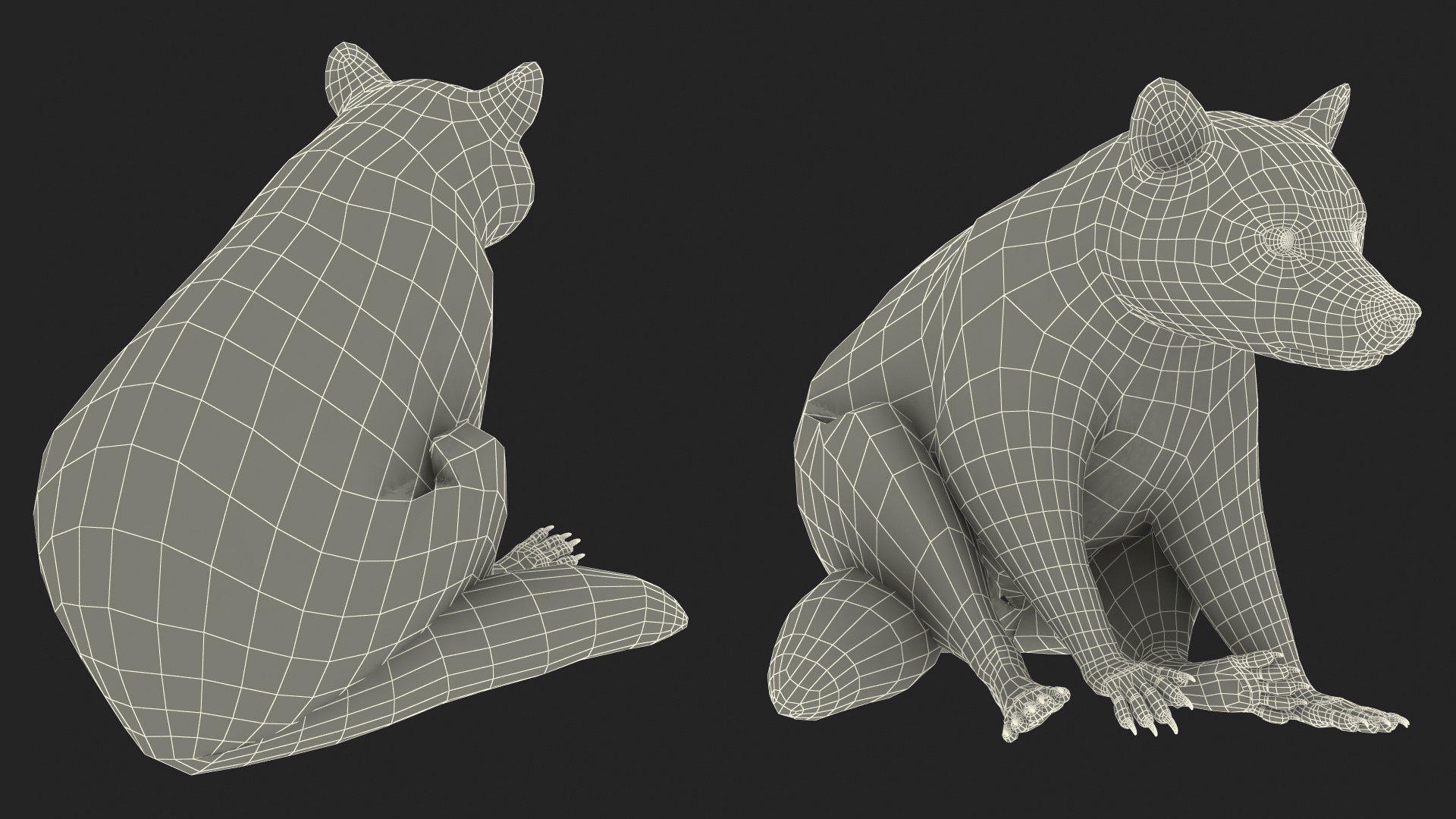Raccoon Sitting Pose Fur 3D model