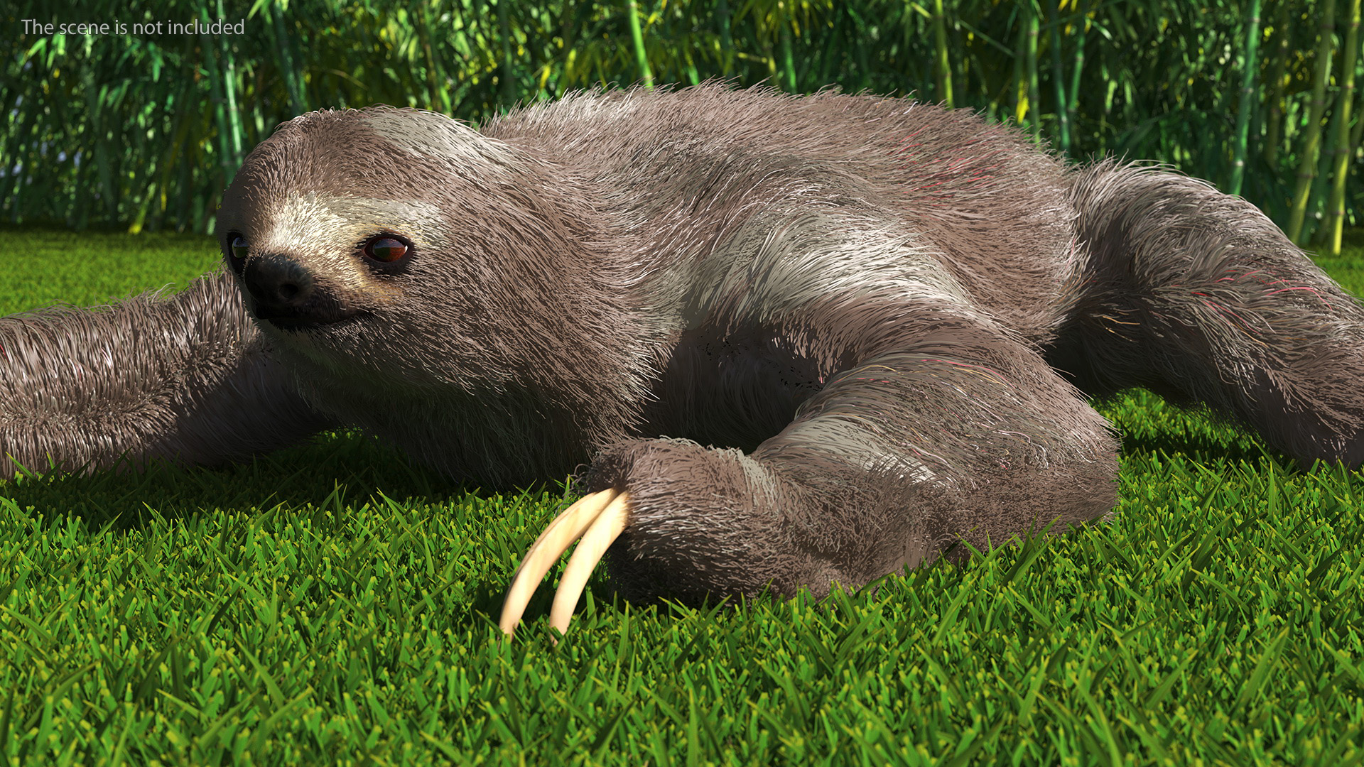 3D Sloth Crawls Fur