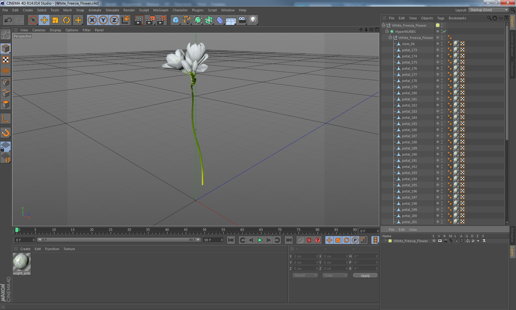 3D model White Freesia Flower
