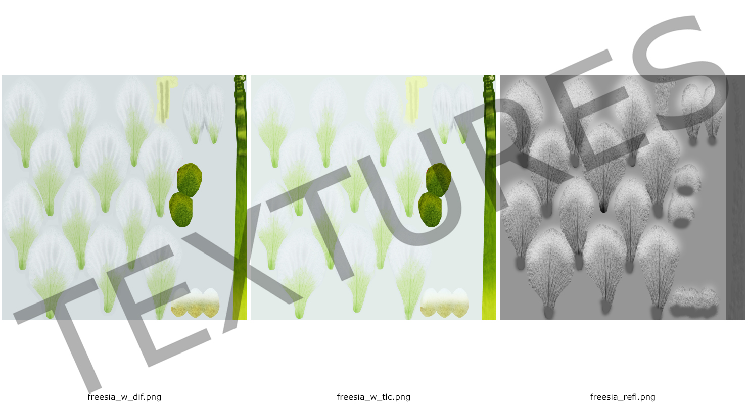 3D model White Freesia Flower