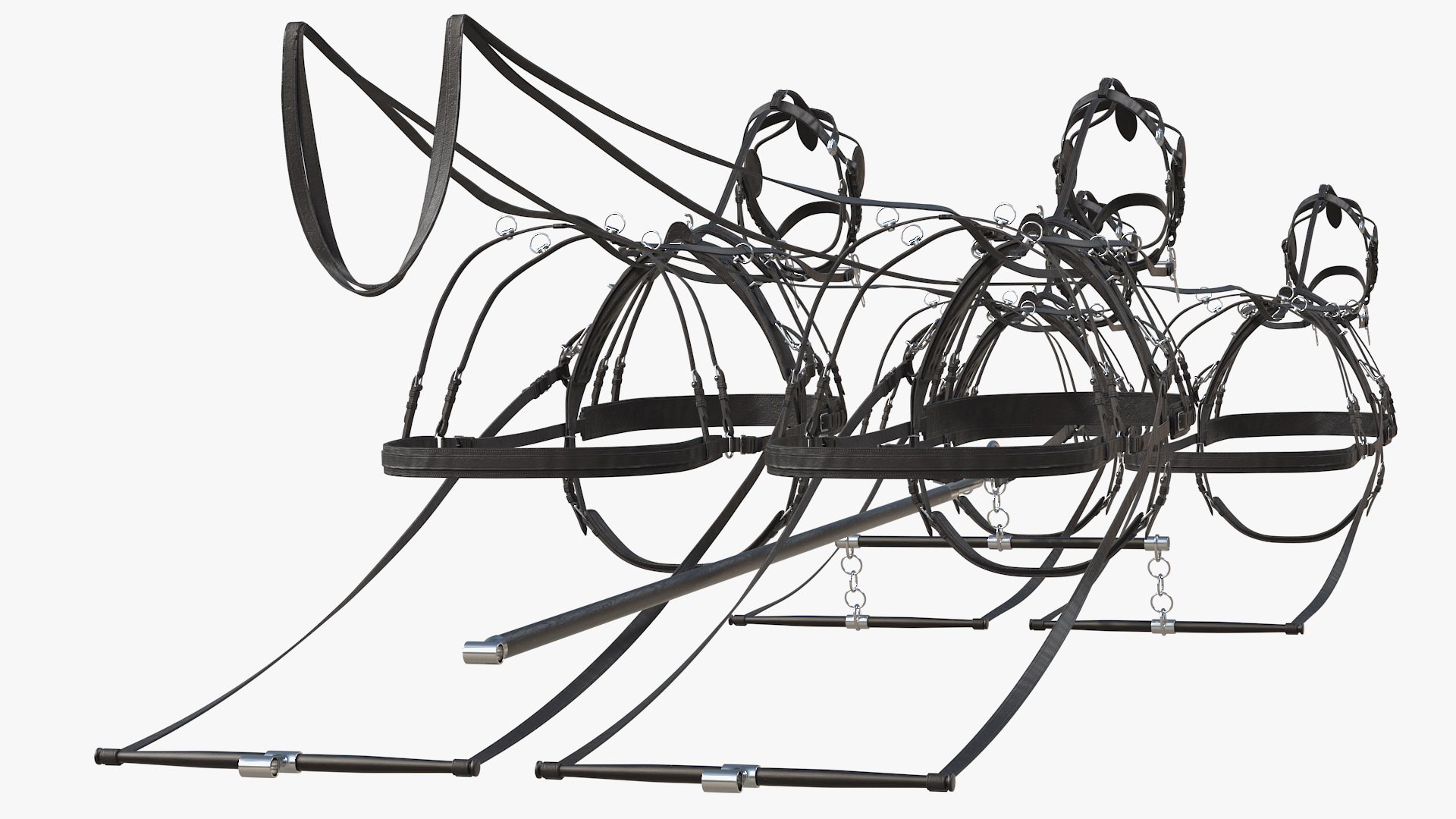 3D Team of Four Leather Harness model