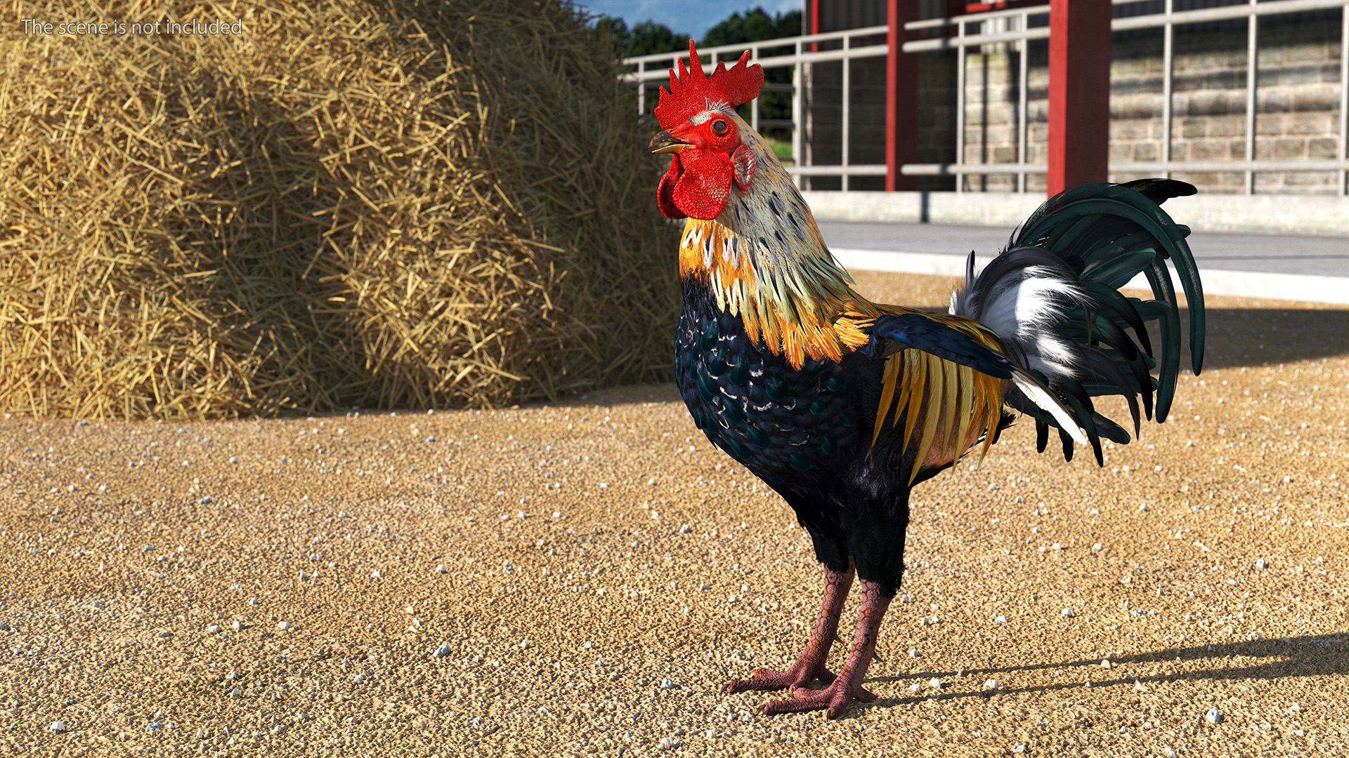 3D model Rainbow Rooster Cock