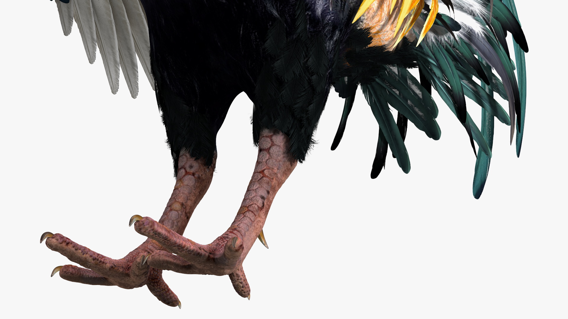 3D model Rainbow Rooster Cock