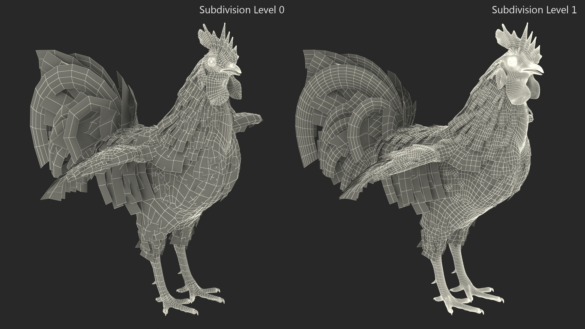 3D model Rainbow Rooster Cock