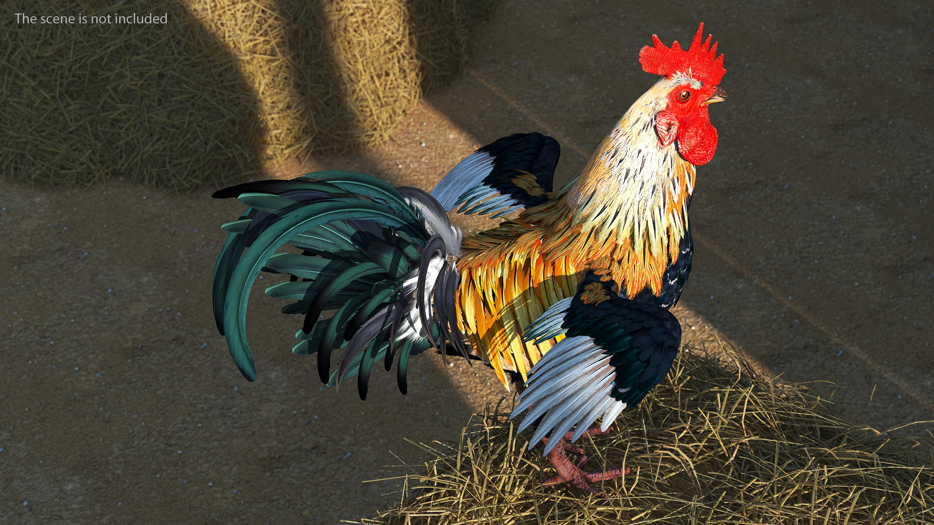 3D model Rainbow Rooster Cock