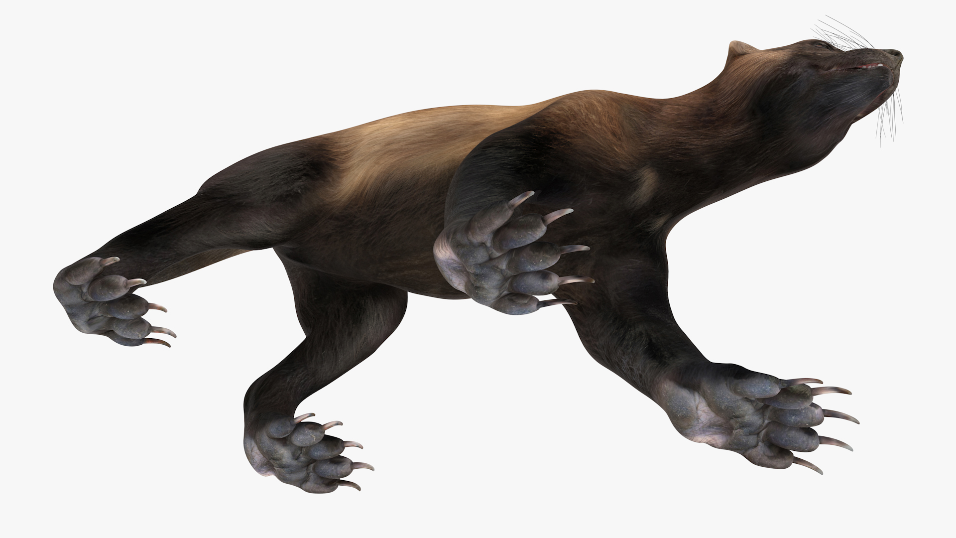 3D Wolverine Dark Color Walking Pose model