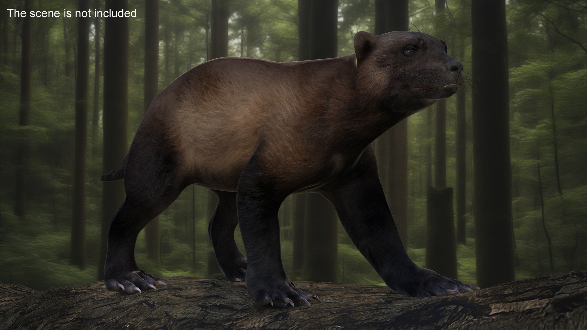 3D Wolverine Dark Color Walking Pose model
