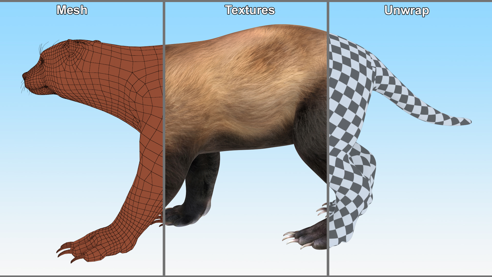3D Wolverine Dark Color Walking Pose model