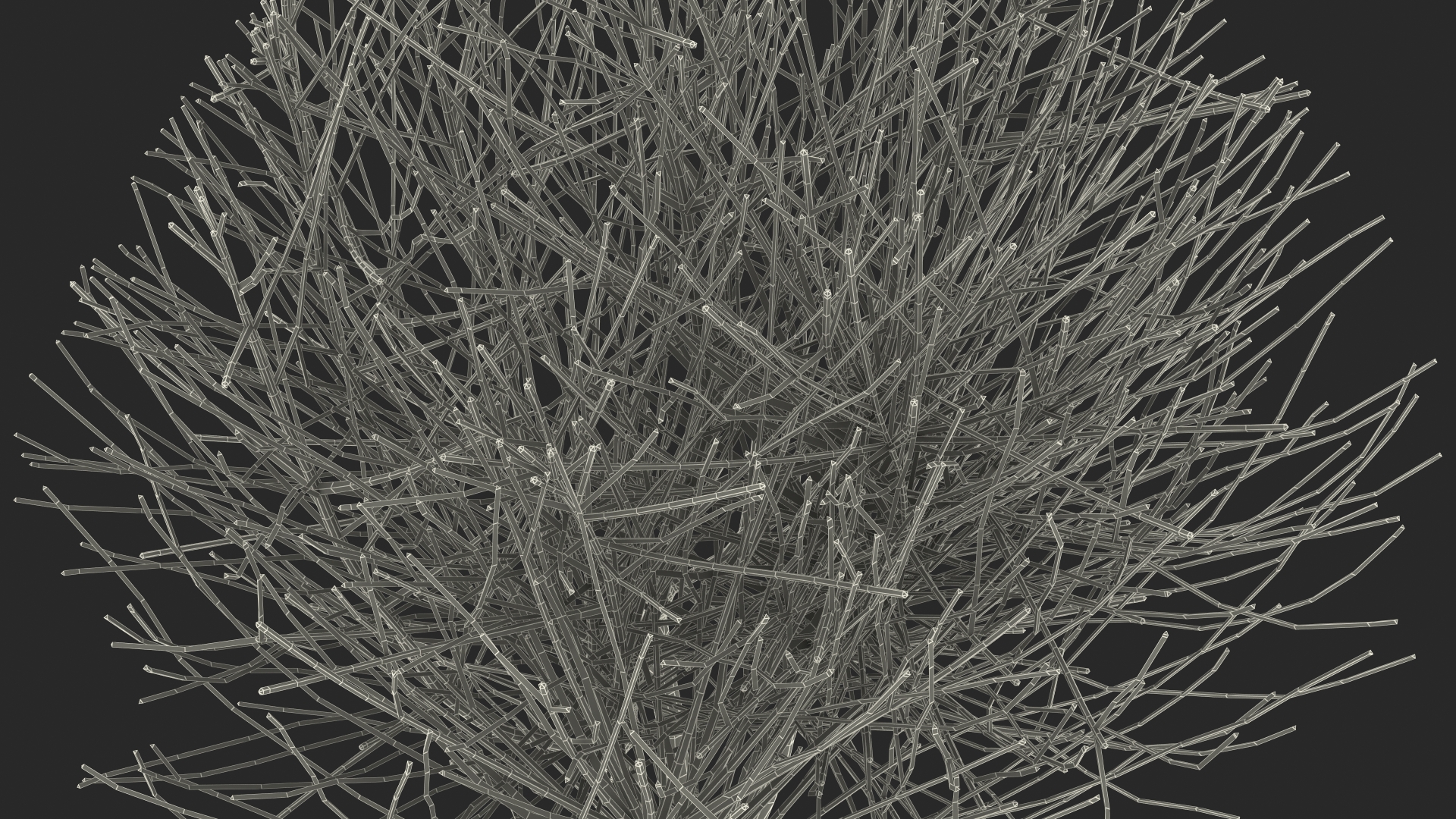 3D model Bare Shrub