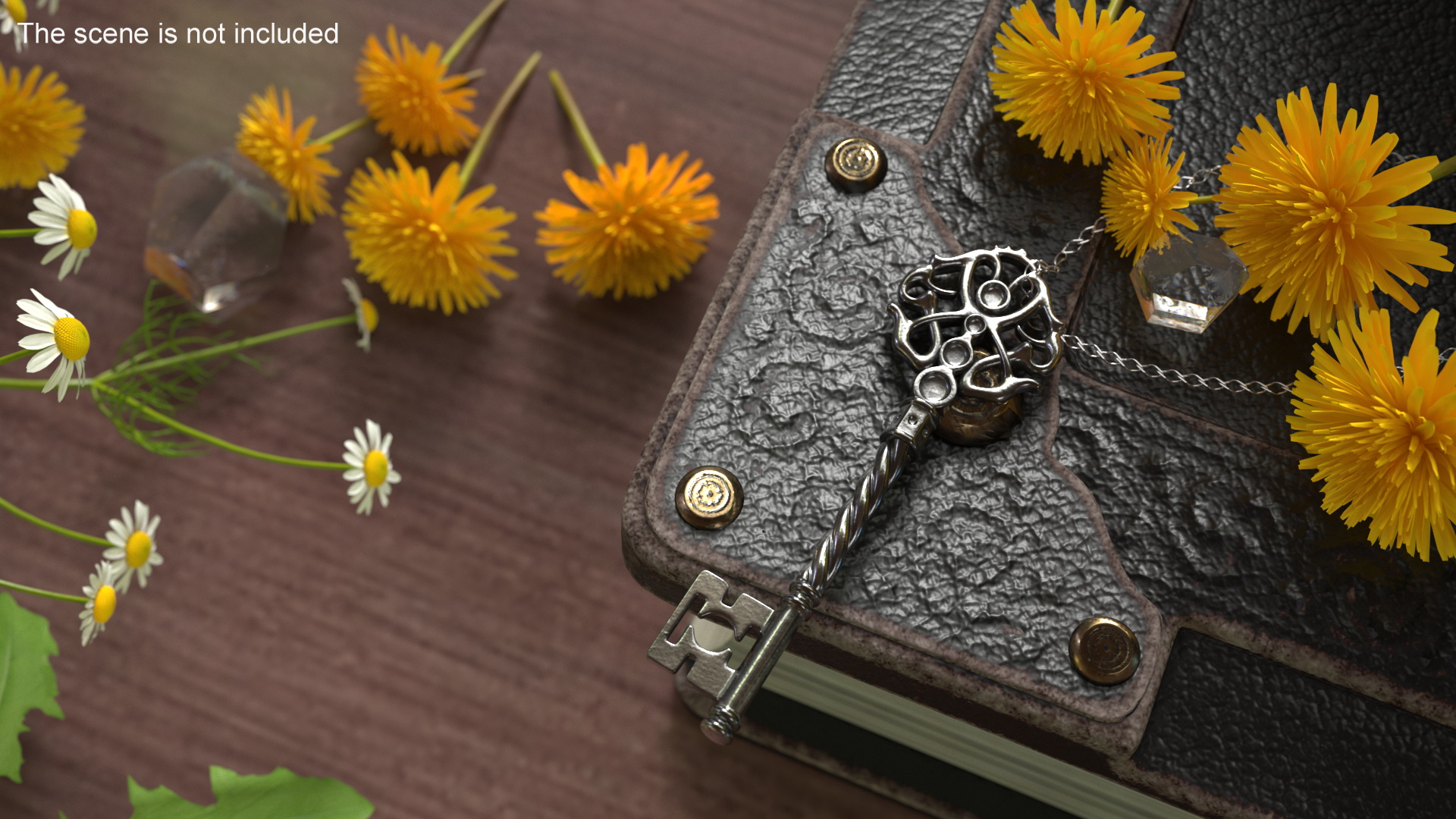 Fantasy Skeleton Key Silver 3D