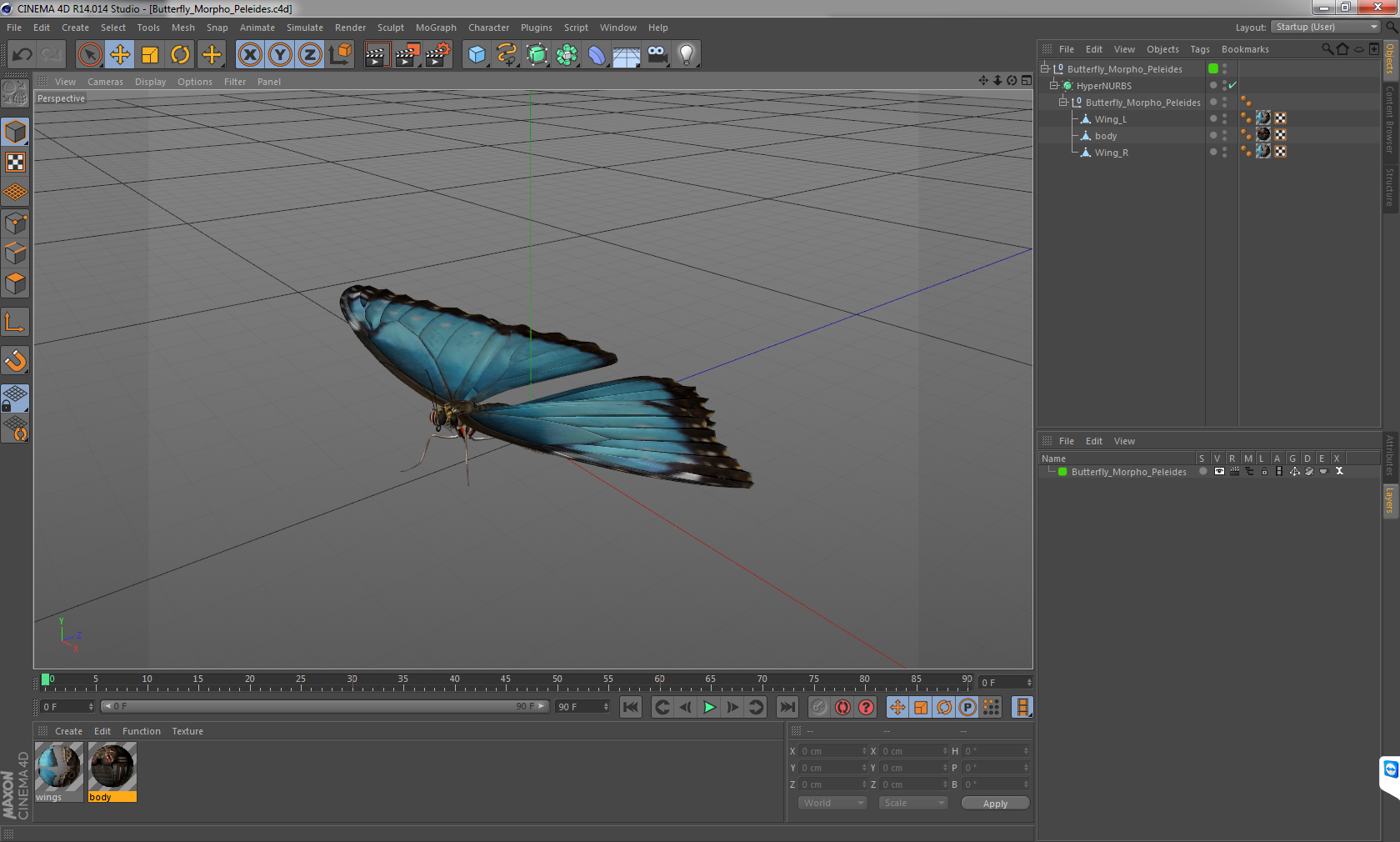 3D model Butterfly Morpho Peleides