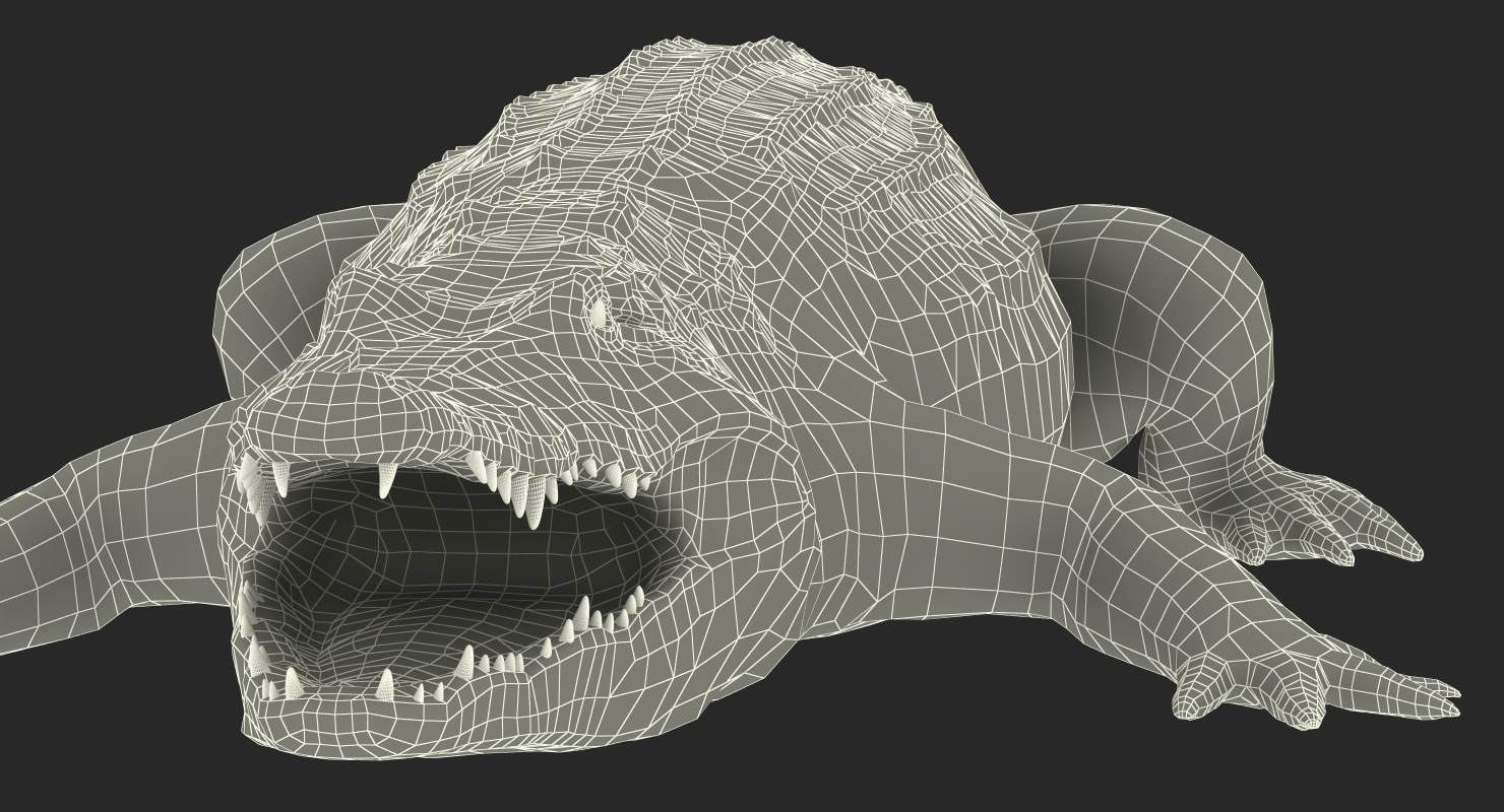 Crocodile 3D model