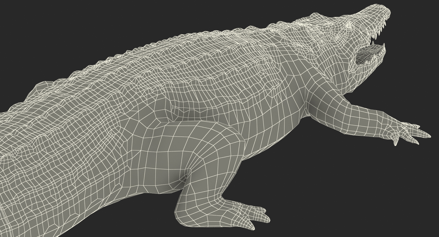 Crocodile 3D model