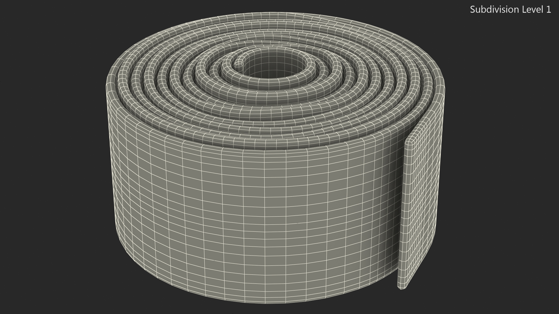 3D model Colorful Licorice Rolled Belt Candy