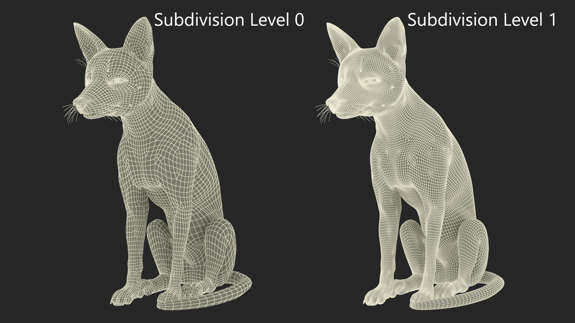 European Fox Sitting Pose Fur 3D model