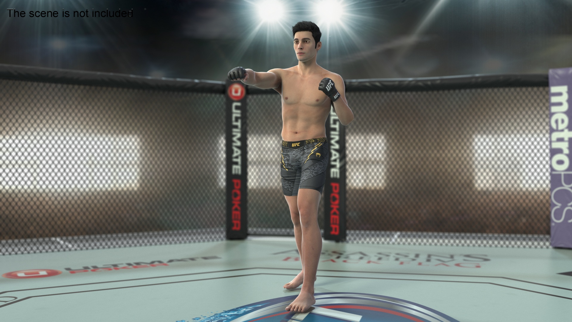 UFC MMA Fighter in Kicking Stance Fur 3D