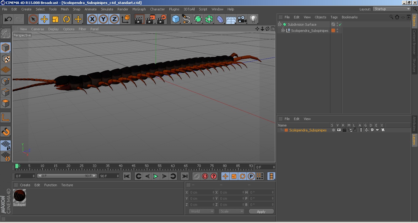 3D Scolopendra Subspinipes model