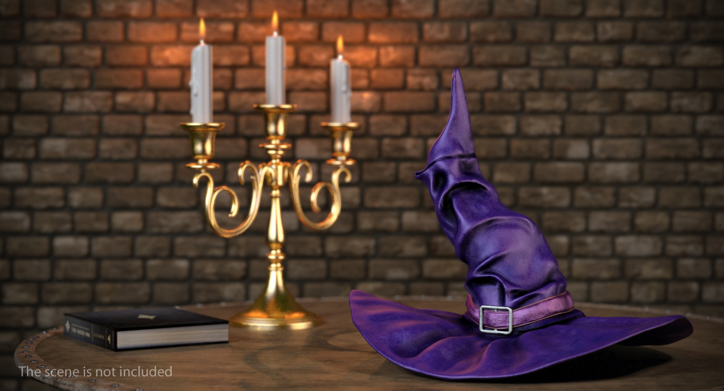 3D Halloween Witch Hat Purple
