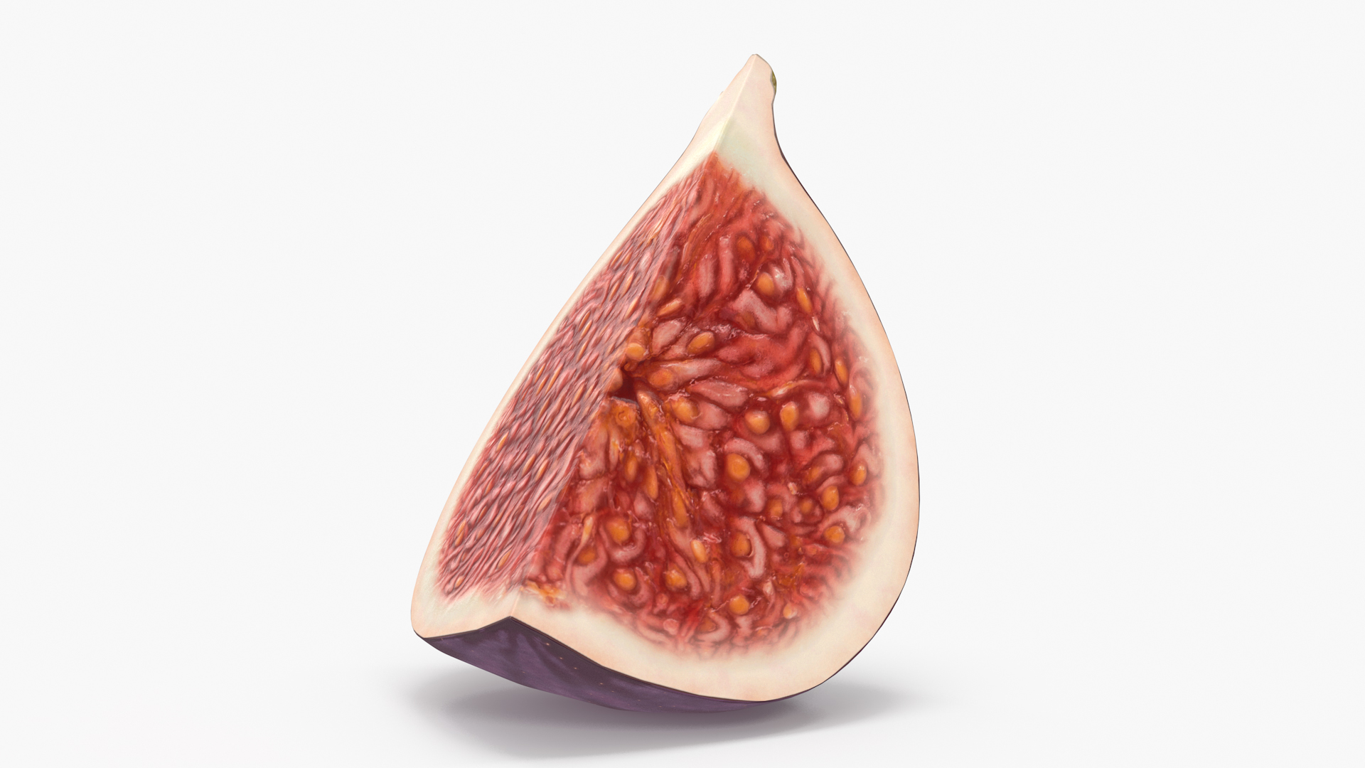 Fresh Riped Fig Fruit Quarter 3D model