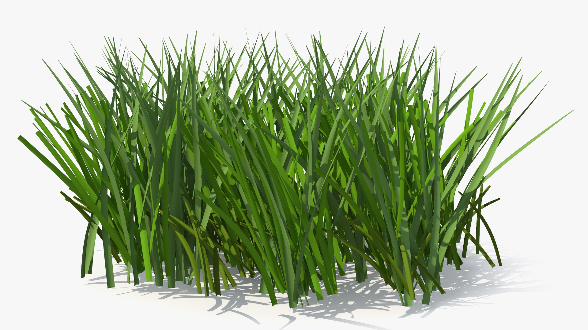 Realistic Patch of Grass 3D model