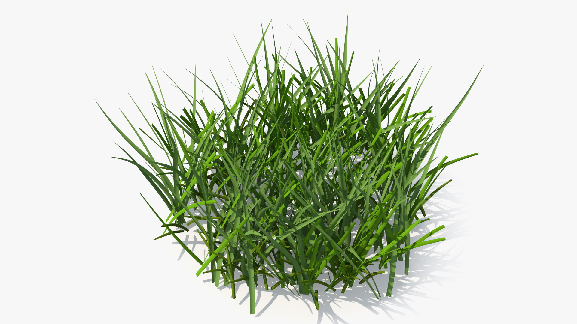Realistic Patch of Grass 3D model