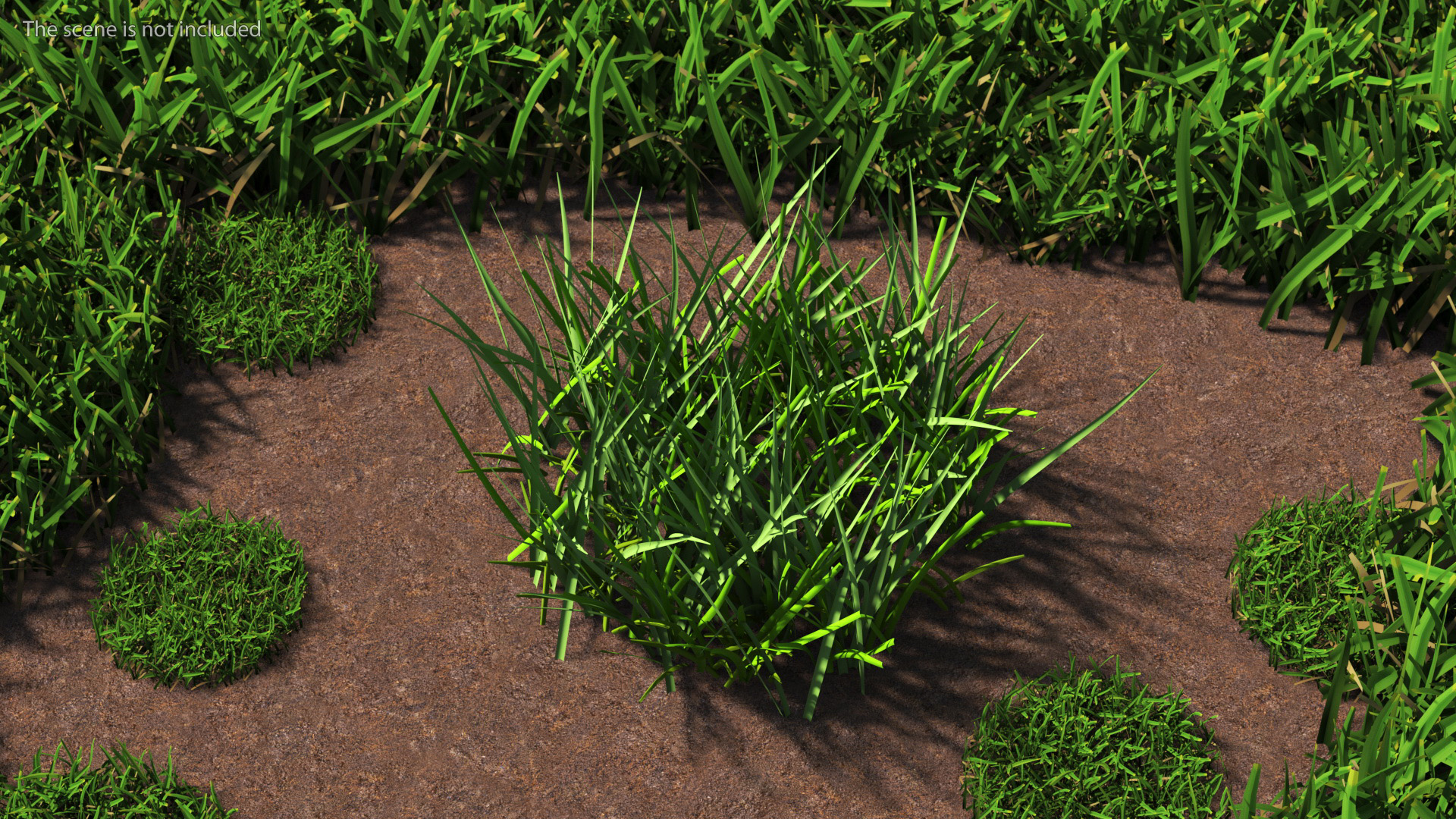 Realistic Patch of Grass 3D model