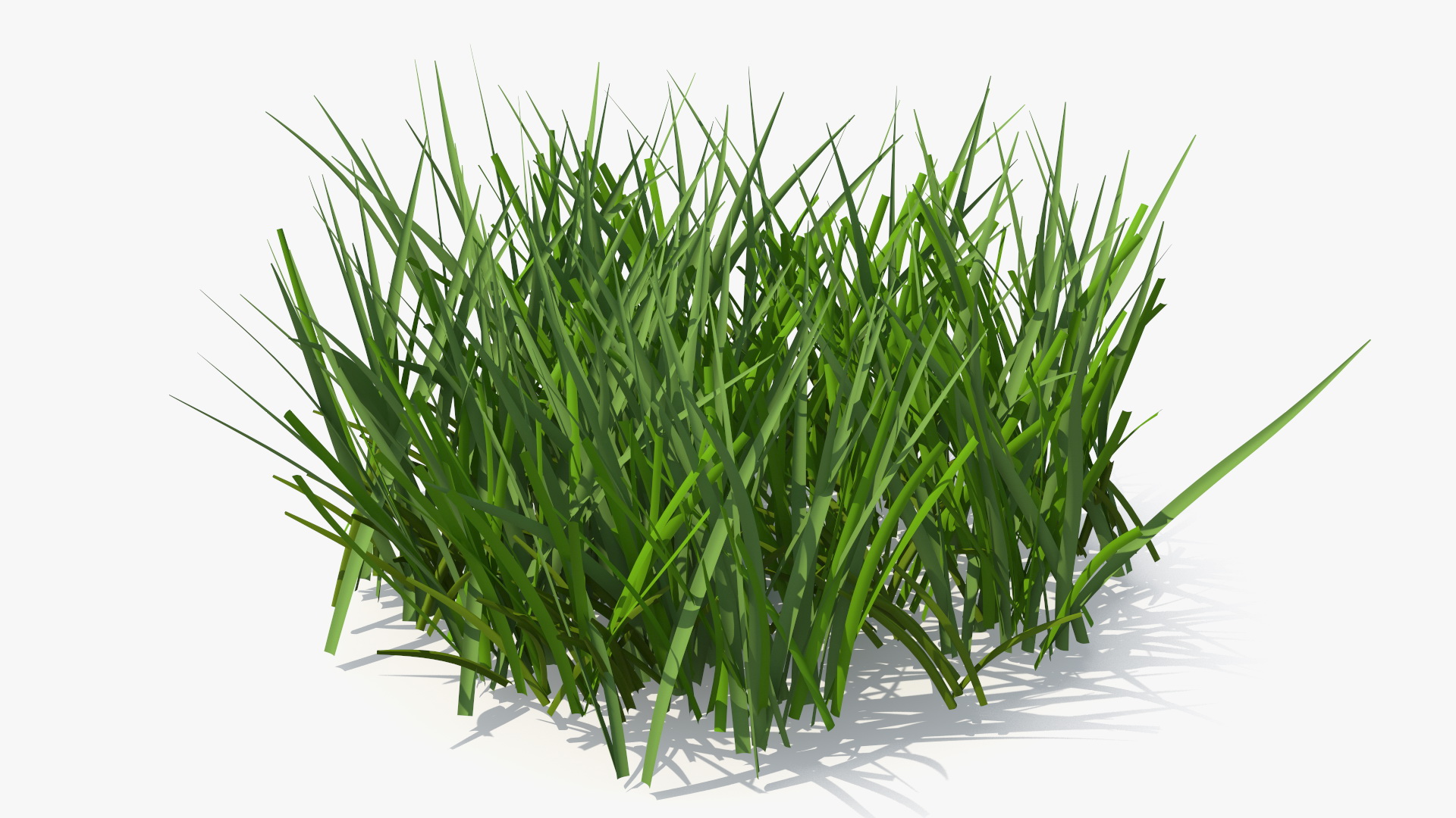 Realistic Patch of Grass 3D model