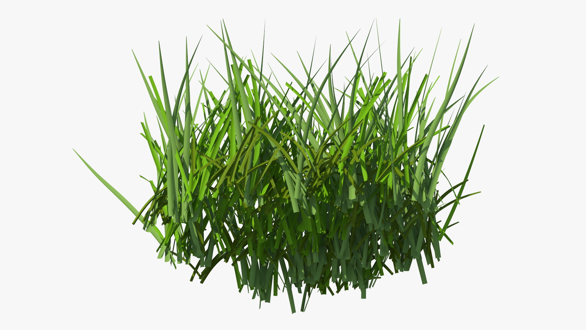 Realistic Patch of Grass 3D model