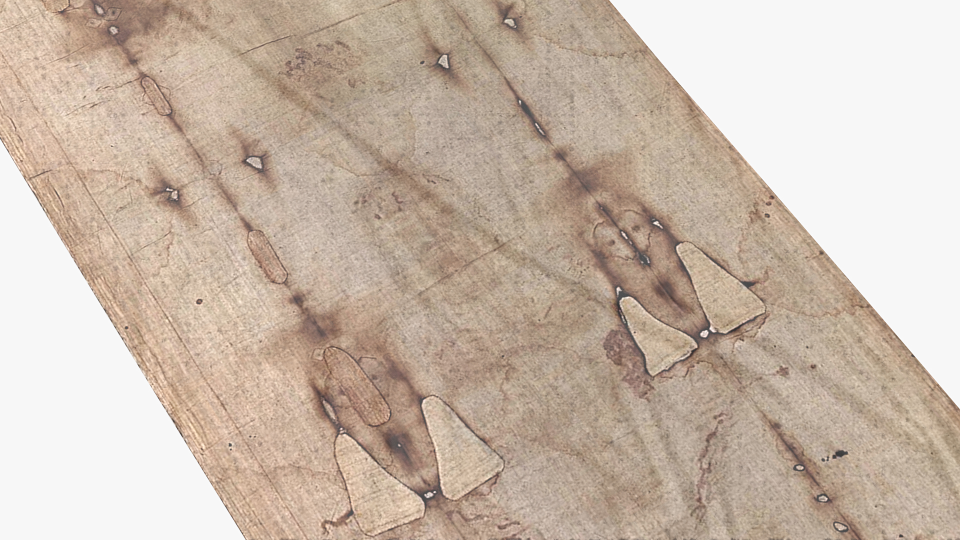 3D model Shroud of Turin
