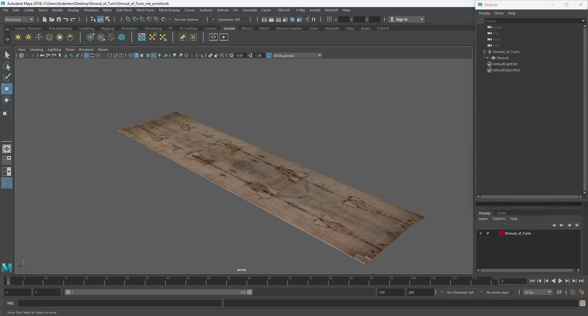 3D model Shroud of Turin