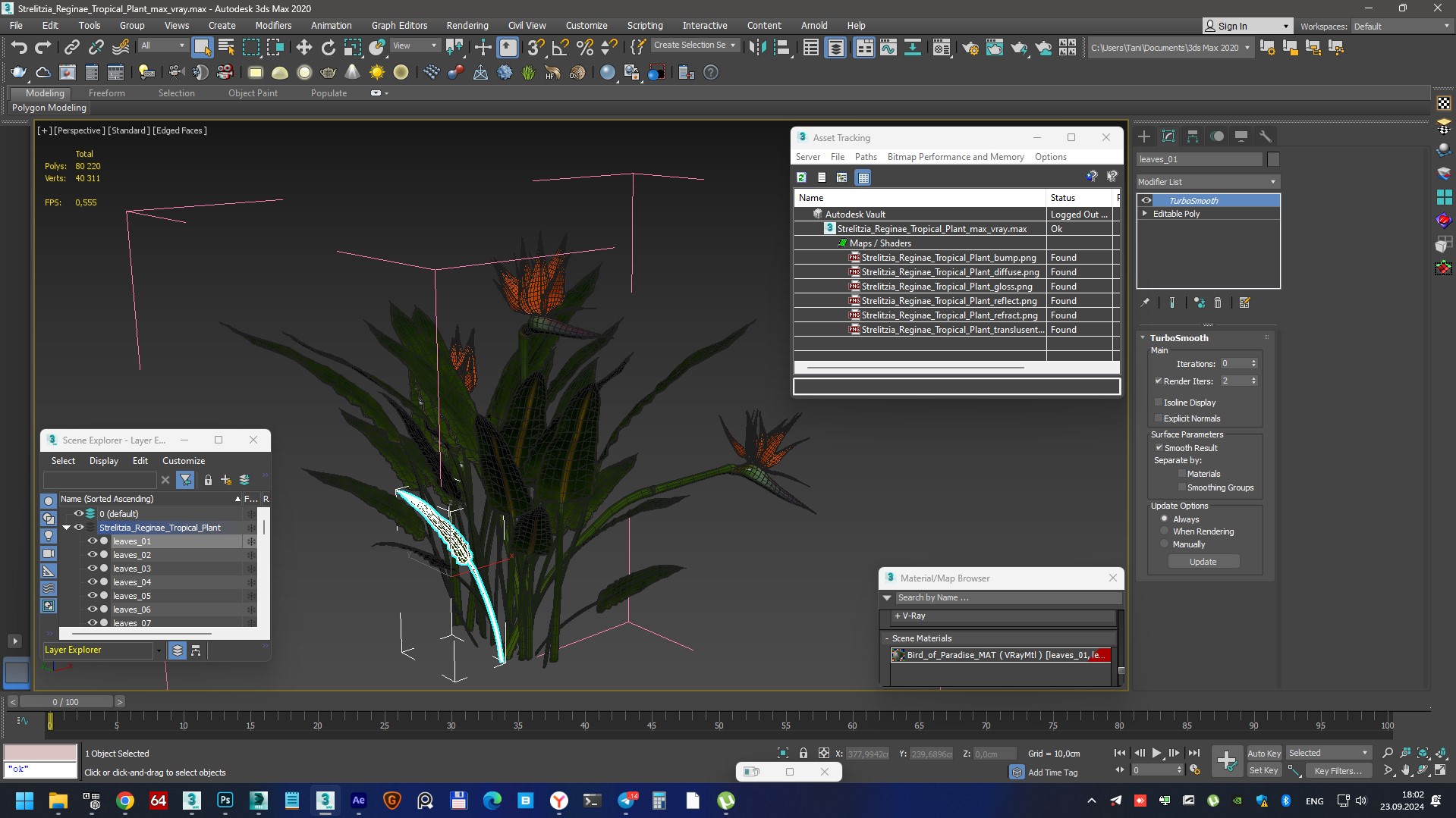 3D Strelitzia Reginae Tropical Plant model