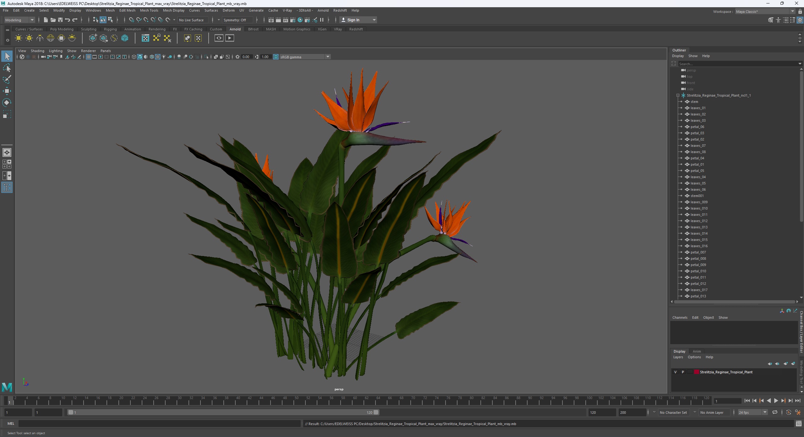 3D Strelitzia Reginae Tropical Plant model
