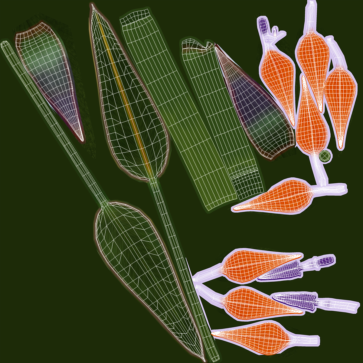 3D Strelitzia Reginae Tropical Plant model