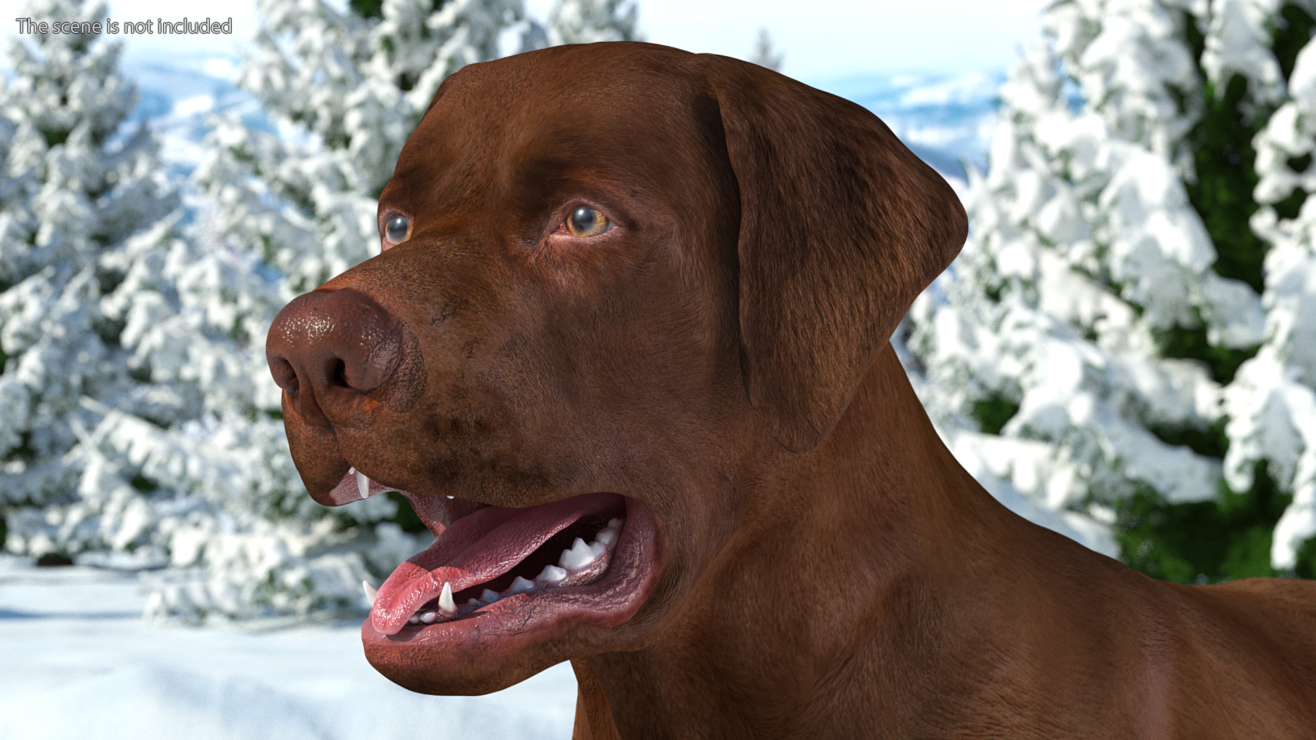 3D model Labrador Dog Brown Rigged
