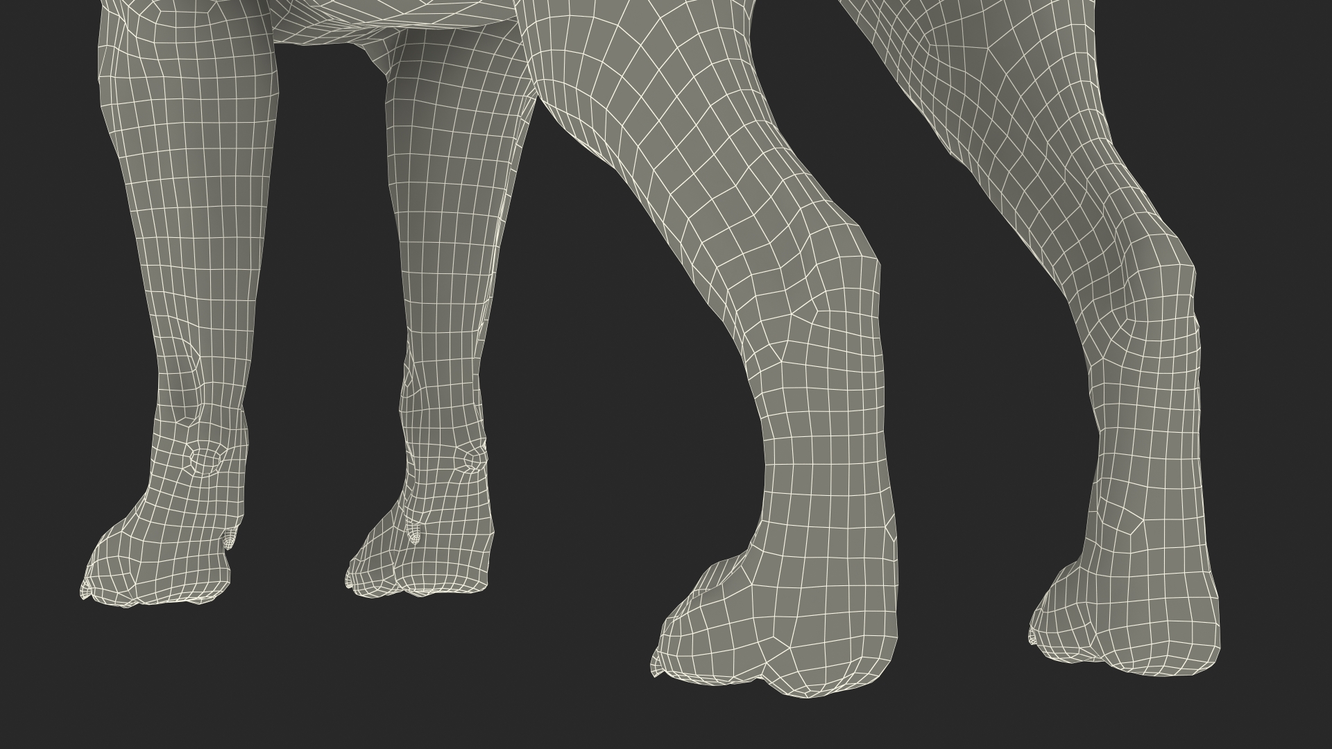3D model Labrador Dog Brown Rigged