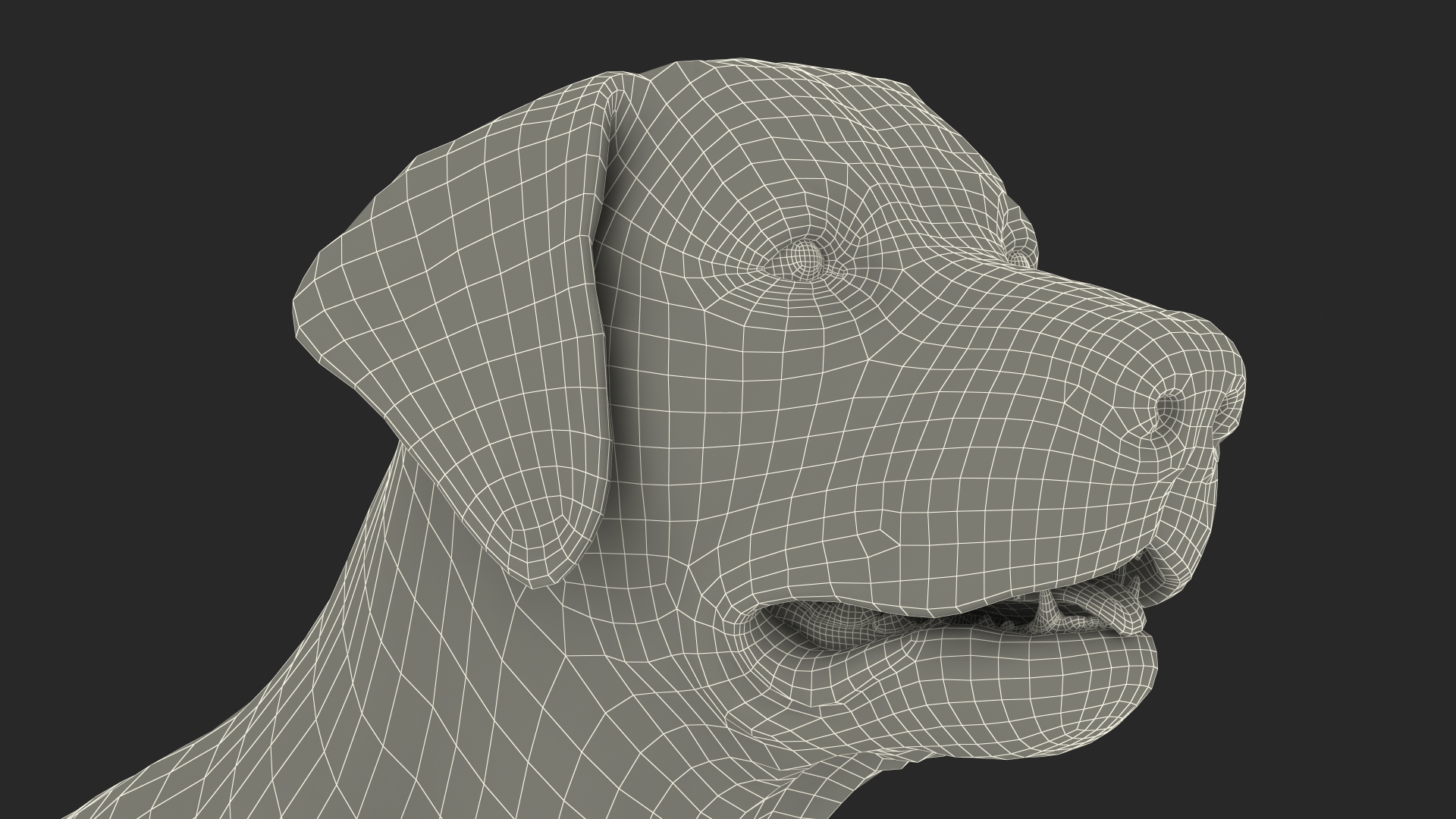 3D model Labrador Dog Brown Rigged