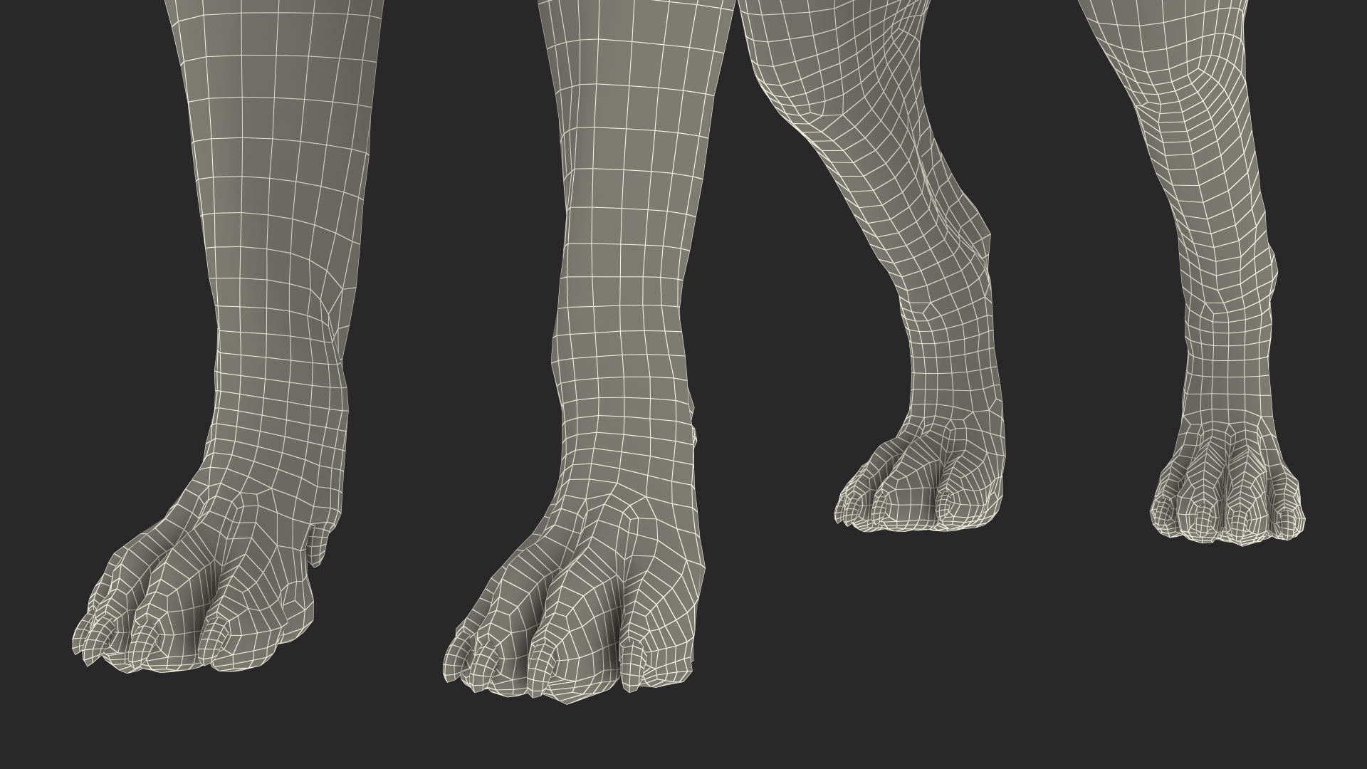 3D model Labrador Dog Brown Rigged