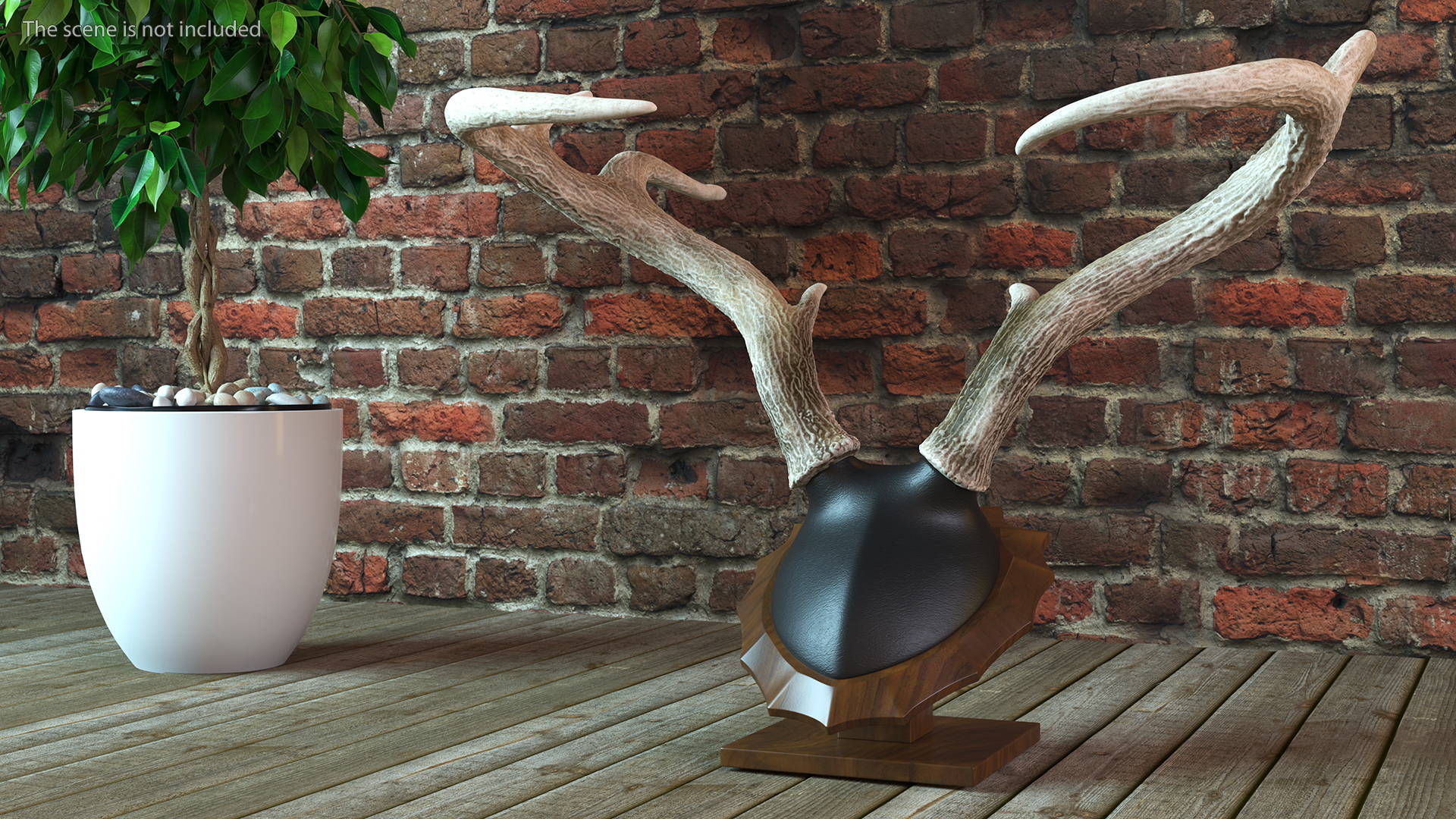 Tabletop Stand with Stag Antlers 3D
