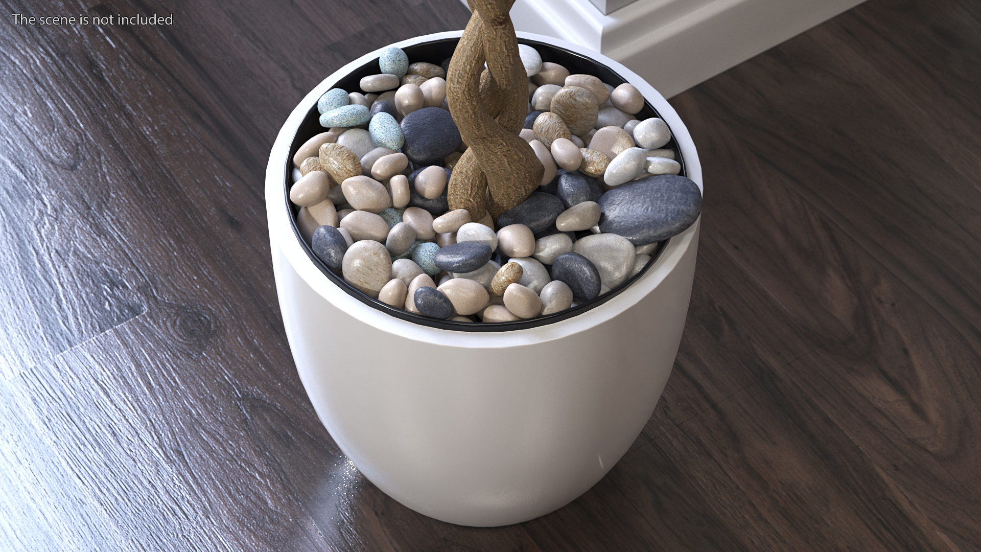 3D Ficus Benjamina Variegated Tree in Pot model