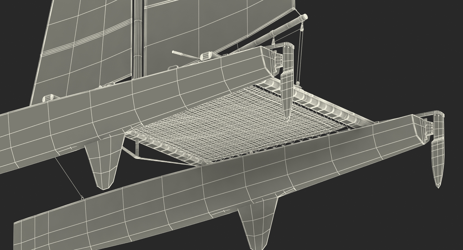 International A Class Catamaran Black 3D