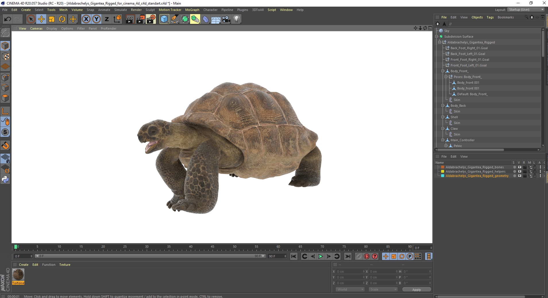 3D Aldabrachelys Gigantea Rigged for Cinema 4D model