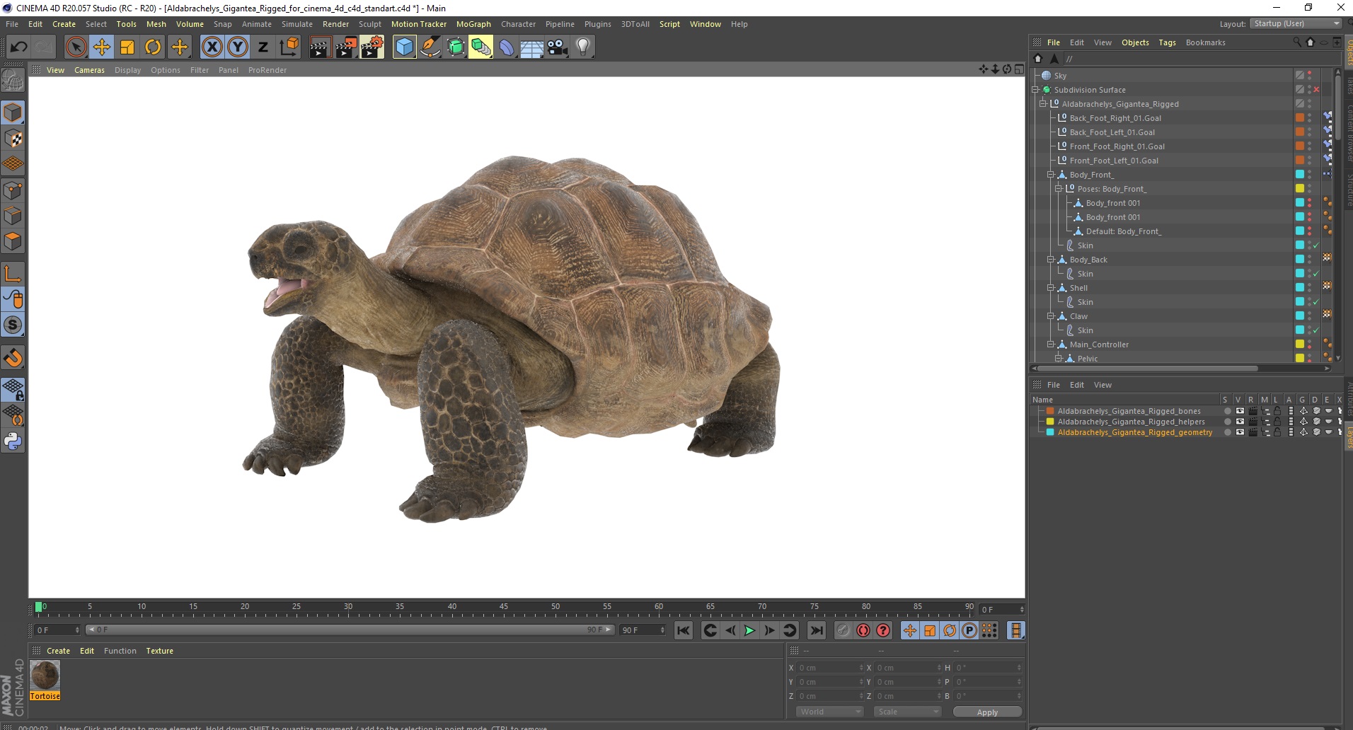 3D Aldabrachelys Gigantea Rigged for Cinema 4D model